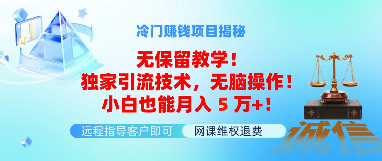 （11864期）冷门赚钱项目无保留教学独家引流技术，无脑操作小白也能5万_免费分享网络创业,副业,信息差项目的老牌资源整合平台！金铲子项目