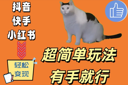 超简单玩法，有手就行，靠猫咪视频_免费分享网络创业,副业,信息差项目的老牌资源整合平台！金铲子项目