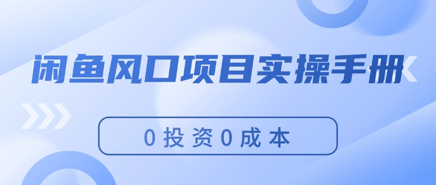 （11923期）闲鱼风口项目实操手册，0投资，让你做到新手可做_免费分享网络创业,副业,信息差项目的老牌资源整合平台！金铲子项目