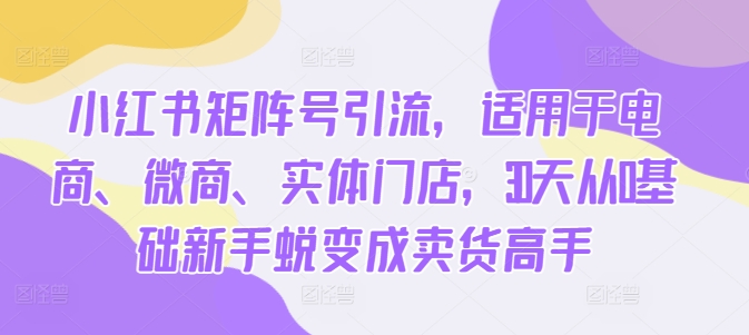 小红书矩阵号引流，适用于电商、微商、实体门店，30天从0基础新手蜕变成卖货高手_免费分享网络创业,副业,信息差项目的老牌资源整合平台！金铲子项目