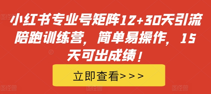 小红书专业号矩阵1230天引流陪跑训练营，简单易操作，15天可出成绩_免费分享网络创业,副业,信息差项目的老牌资源整合平台！金铲子项目