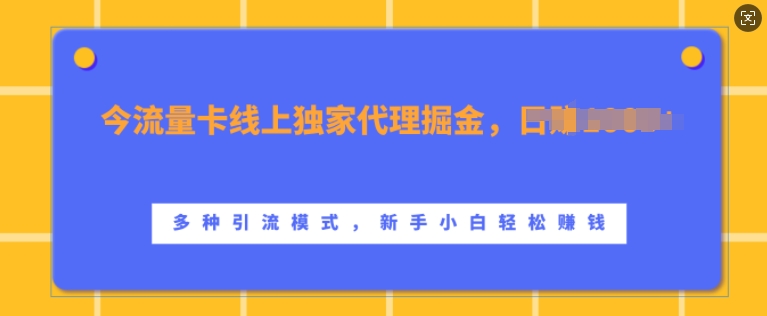 流量卡线上独家代理掘金， ，多种引流模式，新手小白上手_免费分享网络创业,副业,信息差项目的老牌资源整合平台！金铲子项目