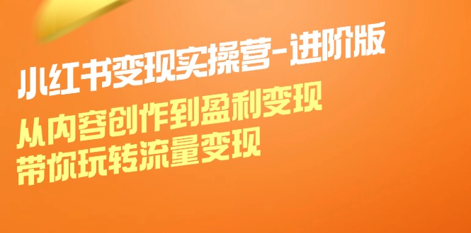 （12234期）小红书实操营-进阶版：从内容创作到盈利，带你玩转流量_免费分享网络创业,副业,信息差项目的老牌资源整合平台！金铲子项目