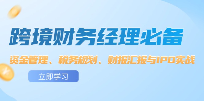（12323期）跨境财务经理必备：资金管理、税务规划、财报汇报与IPO实战_免费分享网络创业,副业,信息差项目的老牌资源整合平台！金铲子项目