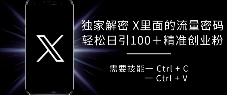 独家解密X里面的流量密码，复制粘贴日引_免费分享网络创业,副业,信息差项目的老牌资源整合平台！金铲子项目