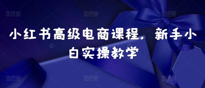 小红书高级电商课程，新手小白实操教学_免费分享网络创业,副业,信息差项目的老牌资源整合平台！金铲子项目