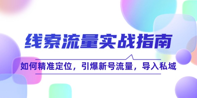 （12382期）线索流量-实战指南：如何精准定位，引爆新号流量，导入私域_免费分享网络创业,副业,信息差项目的老牌资源整合平台！金铲子项目