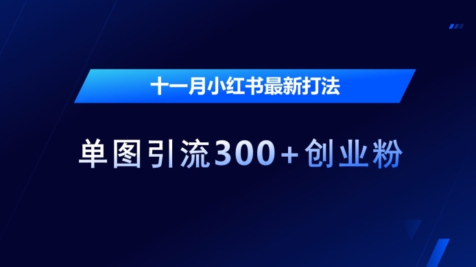 十一月小红书最新打法，单图引流创业粉_免费分享网络创业,副业,信息差项目的老牌资源整合平台！金铲子项目