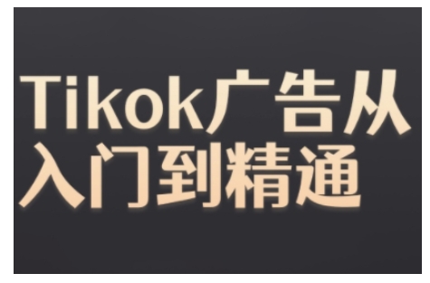 TiktokAds实操教程，Tiktok广告从入门到精通_免费分享网络创业,副业,信息差项目的老牌资源整合平台！金铲子项目