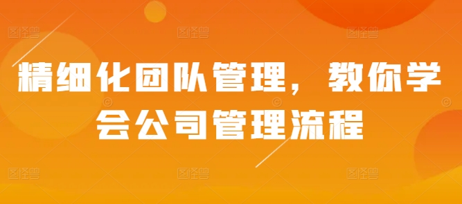 精细化团队管理，教你学会公司管理流程_免费分享网络创业,副业,信息差项目的老牌资源整合平台！金铲子项目