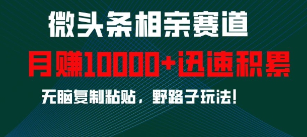 微头条相亲赛道，迅速积累，无脑复制粘贴，野路子玩法，_免费分享网络创业,副业,信息差项目的老牌资源整合平台！金铲子项目