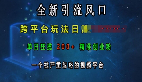 全新引流风口，跨平台玩法上k，单日狂揽精准创业粉，一个被严重忽略的视频平台_免费分享网络创业,副业,信息差项目的老牌资源整合平台！金铲子项目