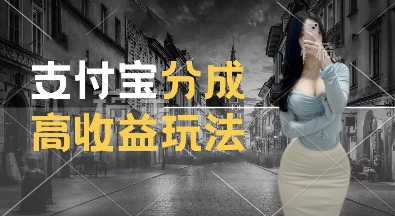 支付宝分成计划新玩法，利用交通事故视频，赚，过W，操作简单_免费分享网络创业,副业,信息差项目的老牌资源整合平台！金铲子项目