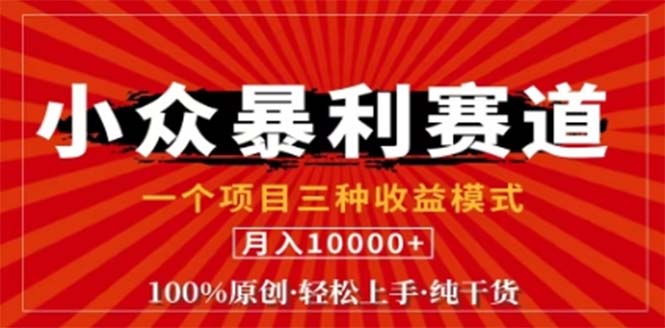 （12756期）视频号最新爆火赛道，三种可模式，0粉新号条条原创条条热门_免费分享网络创业,副业,信息差项目的老牌资源整合平台！金铲子项目