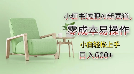 小红书减肥AI新赛道，易操作小白上手_免费分享网络创业,副业,信息差项目的老牌资源整合平台！金铲子项目