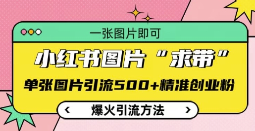 小红书图片‘求带’爆火引流法，单张图片引流精准创业粉_免费分享网络创业,副业,信息差项目的老牌资源整合平台！金铲子项目