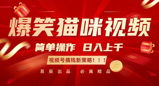 爆笑猫咪视频：简单操作，过K，视频号搞钱新策略_免费分享网络创业,副业,信息差项目的老牌资源整合平台！金铲子项目