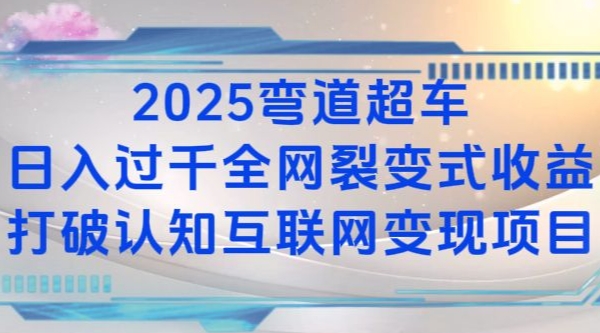 2025弯道超车过K全网裂变式打破认知互联网项目_免费分享网络创业,副业,信息差项目的老牌资源整合平台！金铲子项目