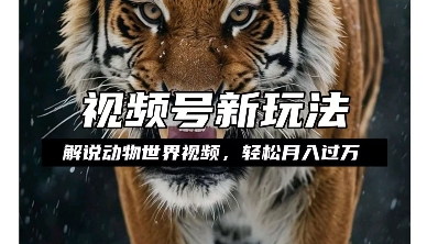 利用动物世界解说视频，赚分成计划，过W，操作简单_免费分享网络创业,副业,信息差项目的老牌资源整合平台！金铲子项目