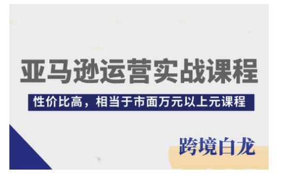 亚马逊运营实战课程，亚马逊从入门到精通，性价比高，相当于市面以上元课程_免费分享网络创业,副业,信息差项目的老牌资源整合平台！金铲子项目