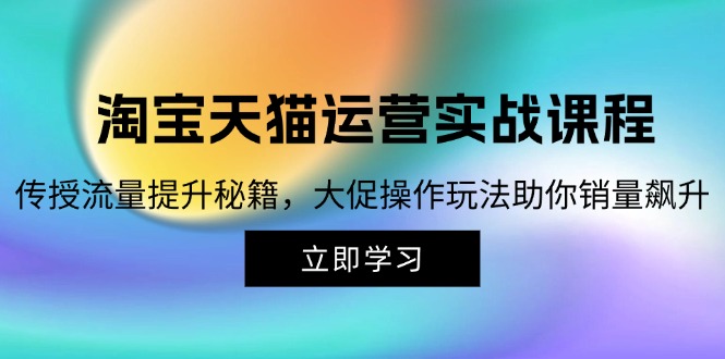 （12959期）淘宝&天猫运营实战课程，传授流量提升秘籍，大促操作玩法助你销量飙升_免费分享网络创业,副业,信息差项目的老牌资源整合平台！金铲子项目