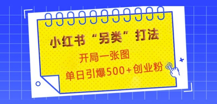小红书“另类”打法，开局一张图，单日引爆精准创业粉_免费分享网络创业,副业,信息差项目的老牌资源整合平台！金铲子项目