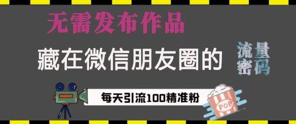 藏在微信朋友圈的流量密码，无需发布作品，单日引流精准创业粉_免费分享网络创业,副业,信息差项目的老牌资源整合平台！金铲子项目