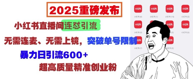 2025重磅发布：小红书直播间连怼引流，无需连麦、无需上镜，突破单号限制，暴力日引流_免费分享网络创业,副业,信息差项目的老牌资源整合平台！金铲子项目