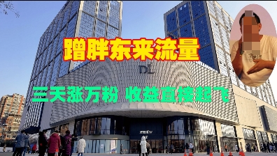 蹭胖东来流量，三天涨万粉，直接起飞_免费分享网络创业,副业,信息差项目的老牌资源整合平台！金铲子项目