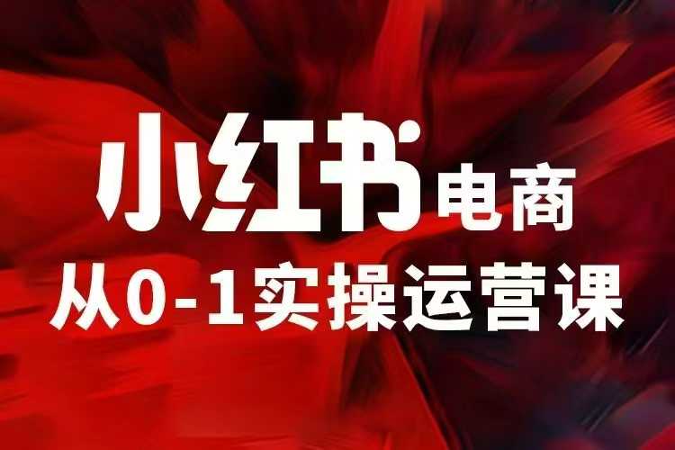 小红书电商运营，97节小红书vip内部课，带你实现小红书赚钱_免费分享网络创业,副业,信息差项目的老牌资源整合平台！金铲子项目