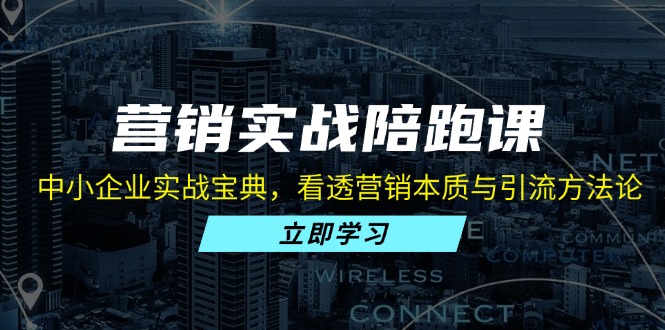 （13146期）营销实战陪跑课：中小企业实战宝典，看透营销本质与引流方法论_免费分享网络创业,副业,信息差项目的老牌资源整合平台！金铲子项目