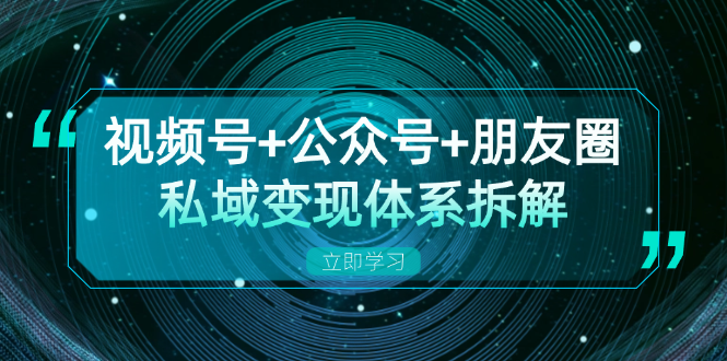 （13174期）视频号公众号朋友圈私域体系拆解，全体平台流量枯竭下的应对策略_免费分享网络创业,副业,信息差项目的老牌资源整合平台！金铲子项目