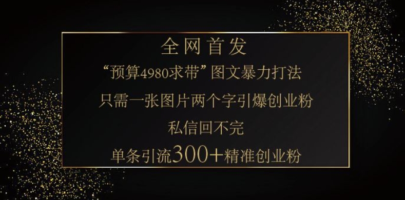 小红书神奇图片引流法，只需一张图，就能单条笔记凭借此方法，引流300精准创业粉_免费分享网络创业,副业,信息差项目的老牌资源整合平台！金铲子项目