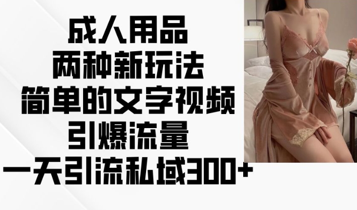 成人用品两种新玩法，简单的文字视频引爆流量，一天引流私域_免费分享网络创业,副业,信息差项目的老牌资源整合平台！金铲子项目