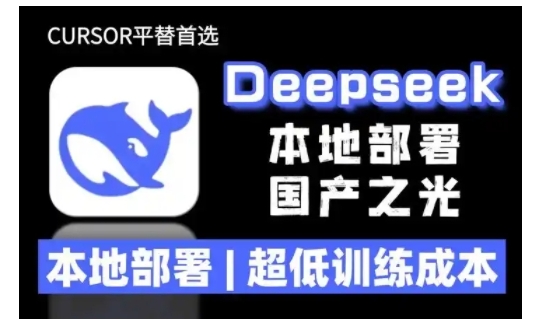 2025年deepseekR1大型模型本地安装部署(文件教程)本地部署，超低训练成本_免费分享网络创业,副业,信息差项目的老牌资源整合平台！金铲子项目