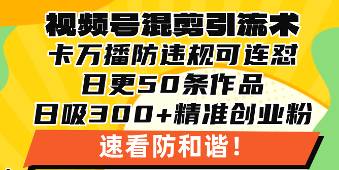 （13400期）视频号混剪引流技术，500万播放引流17000创业粉，操作简单学会_免费分享网络创业,副业,信息差项目的老牌资源整合平台！金铲子项目