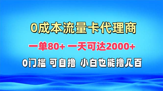 （13391期）免费流量卡代理一单一天可达_免费分享网络创业,副业,信息差项目的老牌资源整合平台！金铲子项目