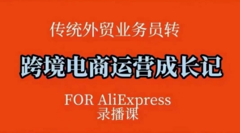 跨境电商速卖通运营课，​运营方法论后台实操，逻辑清晰_免费分享网络创业,副业,信息差项目的老牌资源整合平台！金铲子项目