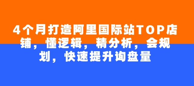 4个月打造阿里国际站TOP店铺，懂逻辑，精分析，会规划，快速提升询盘量_免费分享网络创业,副业,信息差项目的老牌资源整合平台！金铲子项目