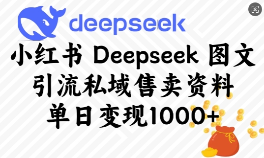 小红书Deepseek图文引流私域售卖资料，单日_免费分享网络创业,副业,信息差项目的老牌资源整合平台！金铲子项目