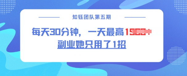 副业她只用了1招，分钟，无脑二创，一天最高1._免费分享网络创业,副业,信息差项目的老牌资源整合平台！金铲子项目