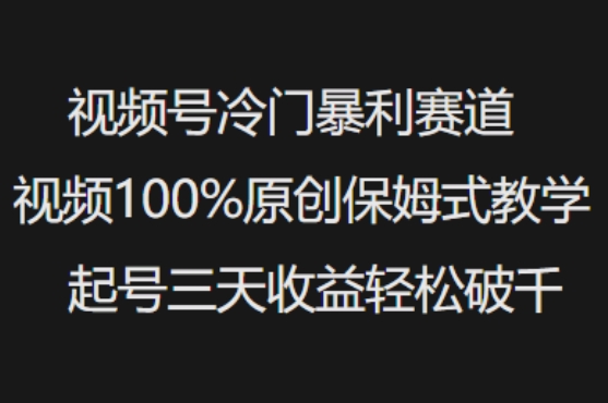 视频号冷门暴利赛道视频100%原创保姆式教学起号三天破千_免费分享网络创业,副业,信息差项目的老牌资源整合平台！金铲子项目
