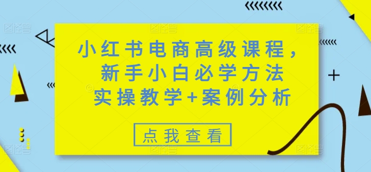 小红书电商高级课程，新手小白必学方法，实操教学案例分析_免费分享网络创业,副业,信息差项目的老牌资源整合平台！金铲子项目