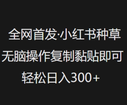 全网首发，小红书种草无脑操作，复制黏贴即可，_免费分享网络创业,副业,信息差项目的老牌资源整合平台！金铲子项目