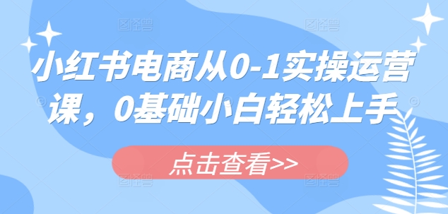 小红书电商从0-1实操运营课，0基础小白上手_免费分享网络创业,副业,信息差项目的老牌资源整合平台！金铲子项目