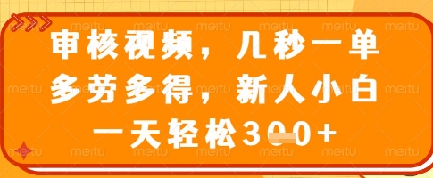 审核视频，几秒一单，多劳多得，新人小白一天_免费分享网络创业,副业,信息差项目的老牌资源整合平台！金铲子项目