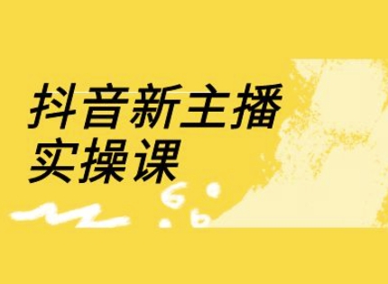 抖音新主播实操课，直播间流量运营线上实操课(18节)_免费分享网络创业,副业,信息差项目的老牌资源整合平台！金铲子项目