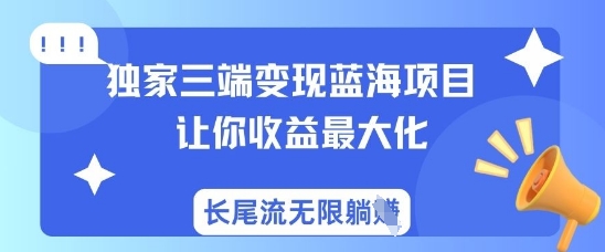 独家三端蓝海项目，让你最大化，长尾流无限躺挣_免费分享网络创业,副业,信息差项目的老牌资源整合平台！金铲子项目