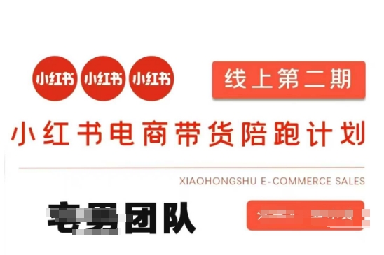 小红书电商带货课2期，月个的小红书电商的有货源，无货源，虚拟产品，付费投流等整套玩法_免费分享网络创业,副业,信息差项目的老牌资源整合平台！金铲子项目