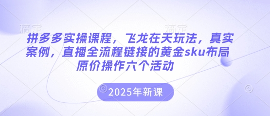拼多多实操课程，飞龙在天玩法，真实案例，直播全流程链接的黄金sku布局原价操作六个活动_免费分享网络创业,副业,信息差项目的老牌资源整合平台！金铲子项目